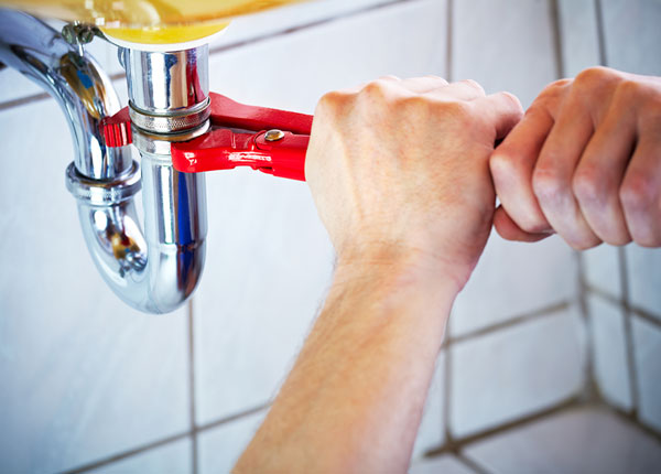 About Genoa Plumbers
